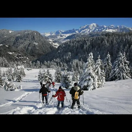 Au Pied Des Pistes 3 Personne